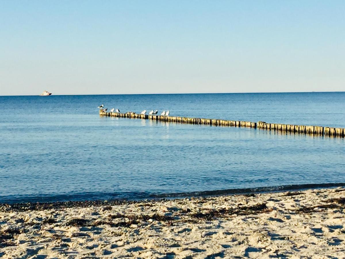 Aparthotel Waterkant Suites - Fewos Am Meer Mit Spa Börgerende-Rethwisch エクステリア 写真